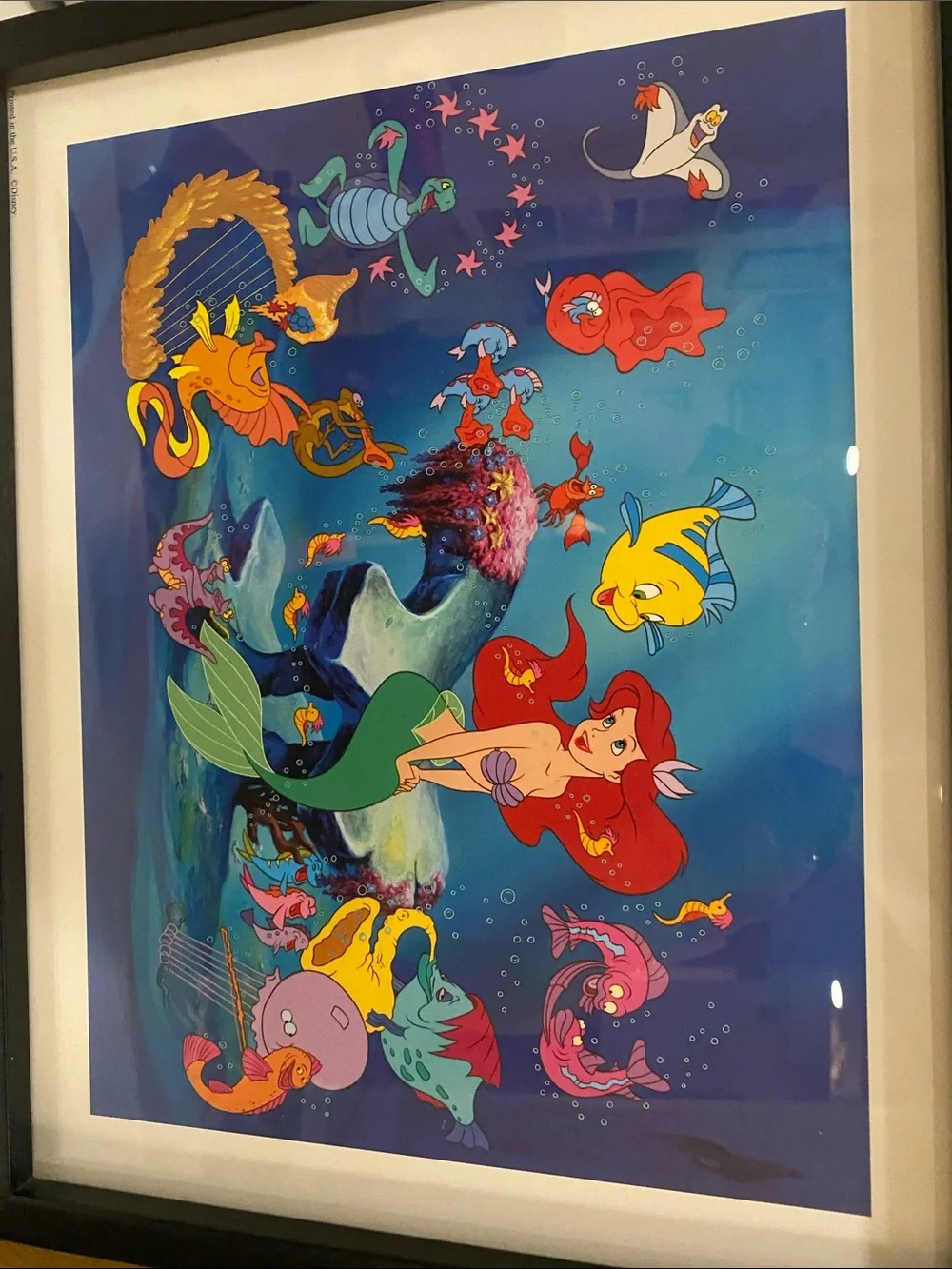 Disney Framed Princess Prints in Blue, Green and Brown